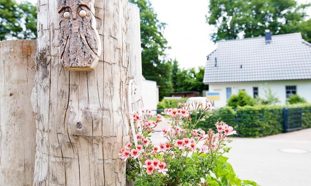 Apartament Sonnenblumenhaus 01 Prerow Zewnętrze zdjęcie